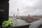 Kameleonek w Berlinie